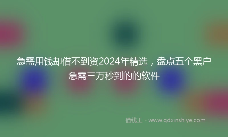 急需用钱却借不到资2024年精选，盘点五个黑户急需三万秒到的的软件