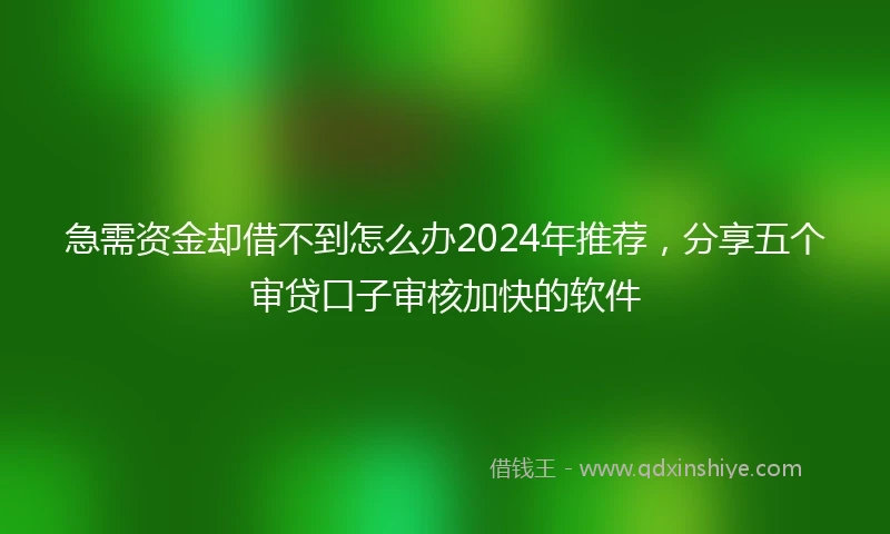 急需资金却借不到怎么办2024年推荐，分享五个审贷口子审核加快的软件