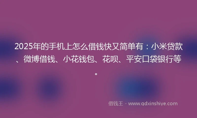 2025年的手机上怎么借钱快又简单有：小米贷款、微博借钱、小花钱包、花呗、平安口袋银行等。