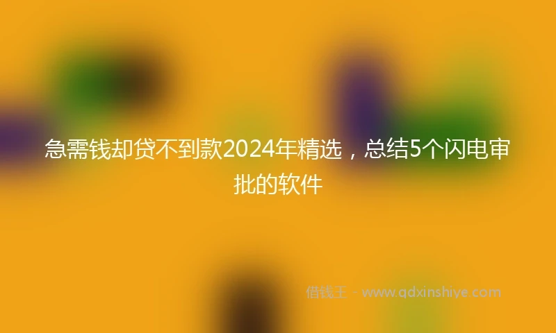 急需钱却贷不到款2024年精选，总结5个闪电审批的软件