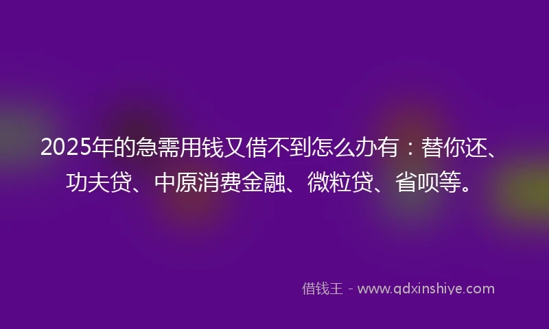 2025年的急需用钱又借不到怎么办有：替你还、功夫贷、中原消费金融、微粒贷、省呗等。