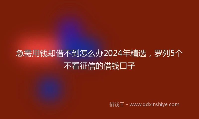 急需用钱却借不到怎么办2024年精选，罗列5个不看征信的借钱口子