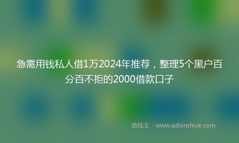 急需用钱私人借1万2024年推荐，整理5个黑户百分百不拒的2000借款口子