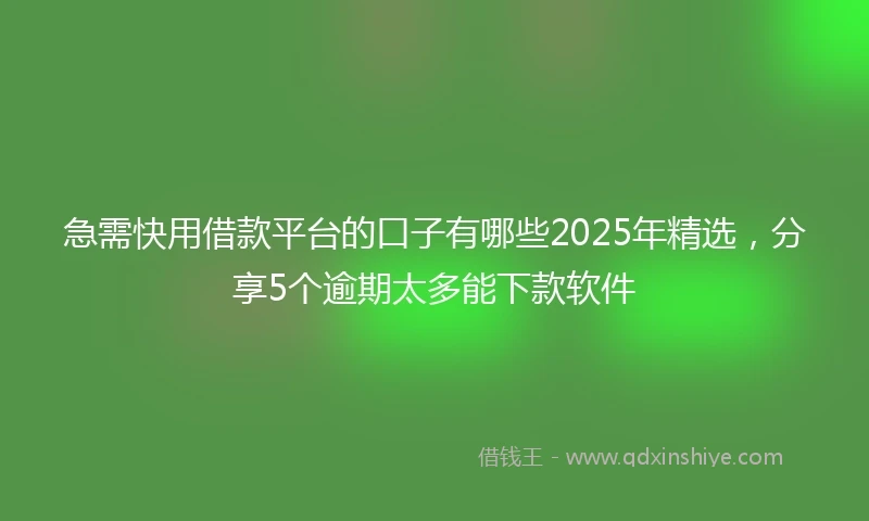 急需快用借款平台的口子有哪些2025年精选，分享5个逾期太多能下款软件