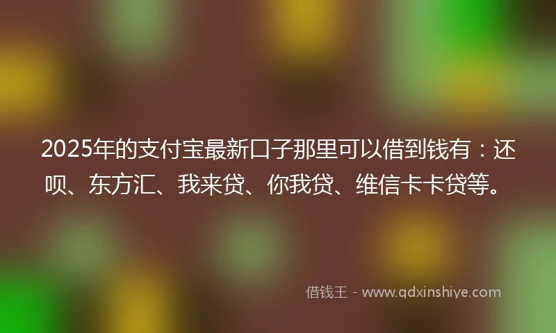 2025年的支付宝最新口子那里可以借到钱有：还呗、东方汇、我来贷、你我贷、维信卡卡贷等。