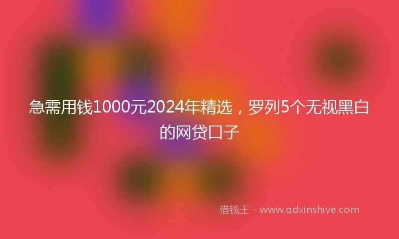 急需用钱1000元2024年精选，罗列5个无视黑白的网贷口子