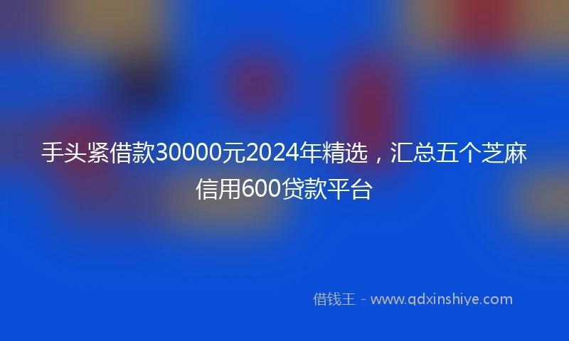 手头紧借款30000元2024年精选，汇总五个芝麻信用600贷款平台