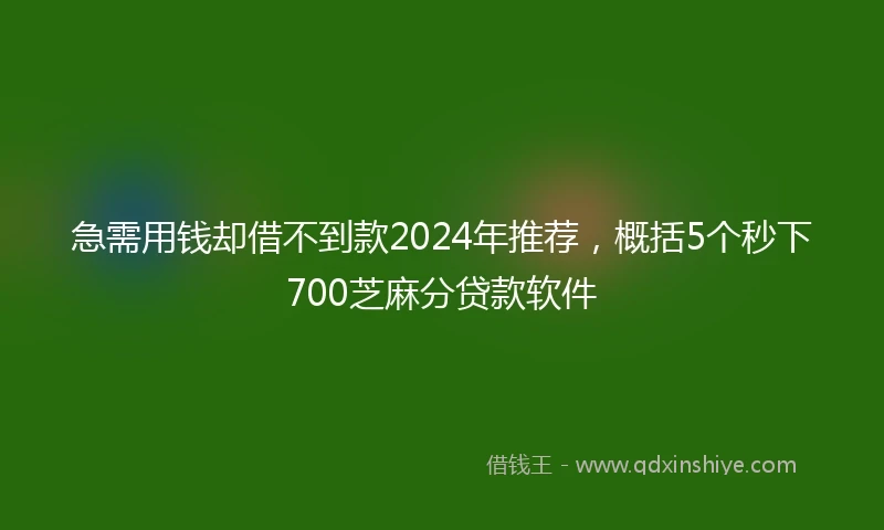 急需用钱却借不到款2024年推荐，概括5个秒下700芝麻分贷款软件