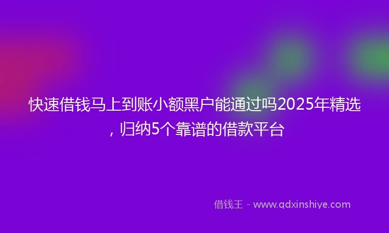 快速借钱马上到账小额黑户能通过吗2025年精选，归纳5个靠谱的借款平台