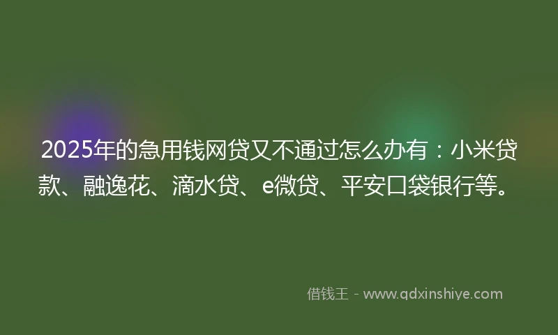 2025年的急用钱网贷又不通过怎么办有：小米贷款、融逸花、滴水贷、e微贷、平安口袋银行等。