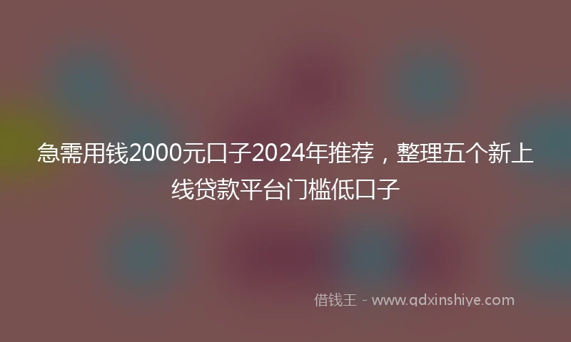 急需用钱2000元口子2024年推荐，整理五个新上线贷款平台门槛低口子