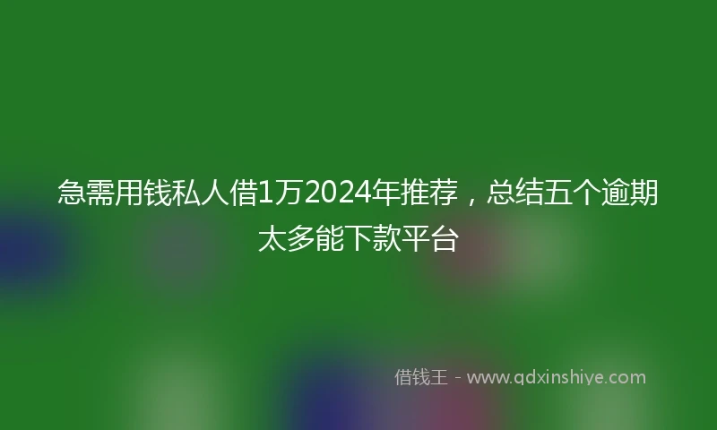 急需用钱私人借1万2024年推荐，总结五个逾期太多能下款平台