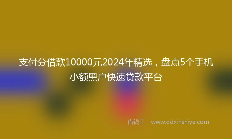 支付分借款10000元2024年精选，盘点5个手机小额黑户快速贷款平台