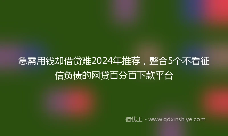 急需用钱却借贷难2024年推荐，整合5个不看征信负债的网贷百分百下款平台