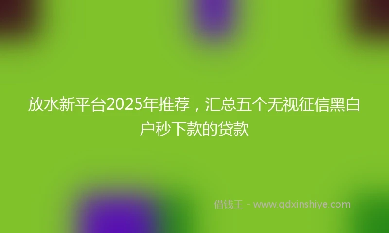 放水新平台2025年推荐，汇总五个无视征信黑白户秒下款的贷款