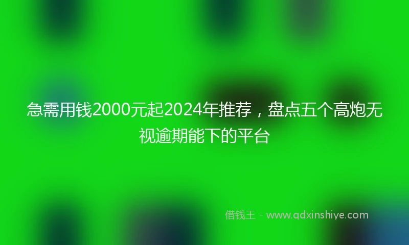 急需用钱2000元起2024年推荐，盘点五个高炮无视逾期能下的平台