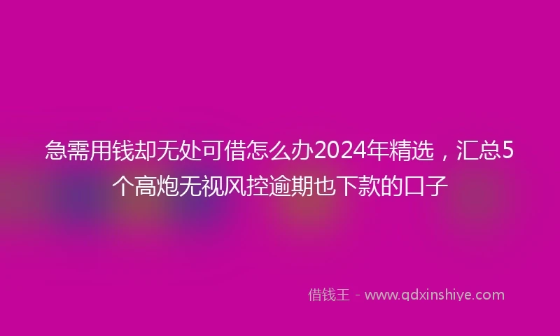 急需用钱却无处可借怎么办2024年精选，汇总5个高炮无视风控逾期也下款的口子