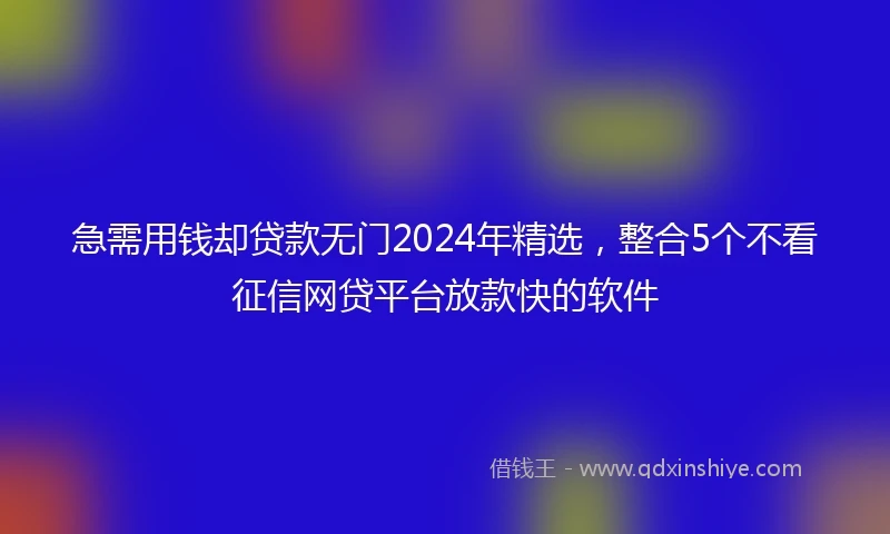 急需用钱却贷款无门2024年精选，整合5个不看征信网贷平台放款快的软件