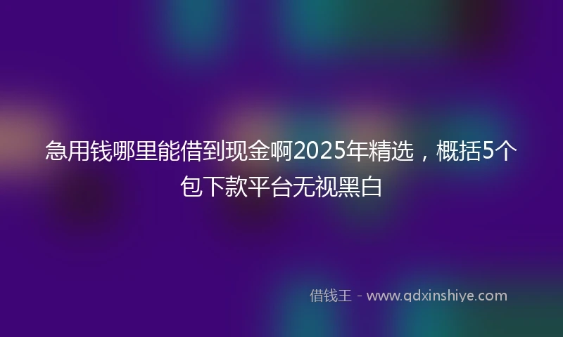 急用钱哪里能借到现金啊2025年精选，概括5个包下款平台无视黑白