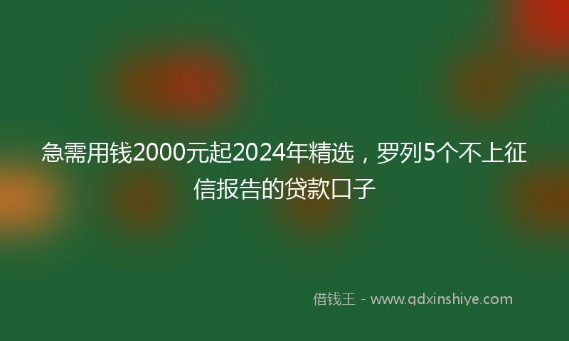 急需用钱2000元起2024年精选，罗列5个不上征信报告的贷款口子
