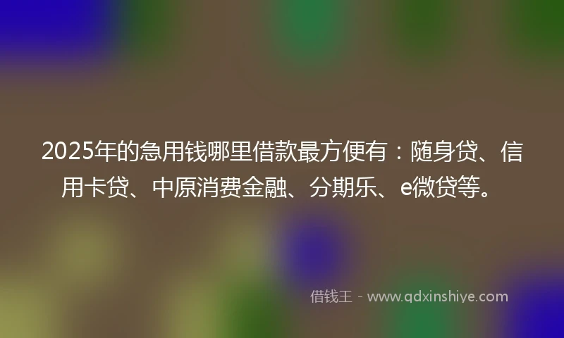 2025年的急用钱哪里借款最方便有：随身贷、信用卡贷、中原消费金融、分期乐、e微贷等。
