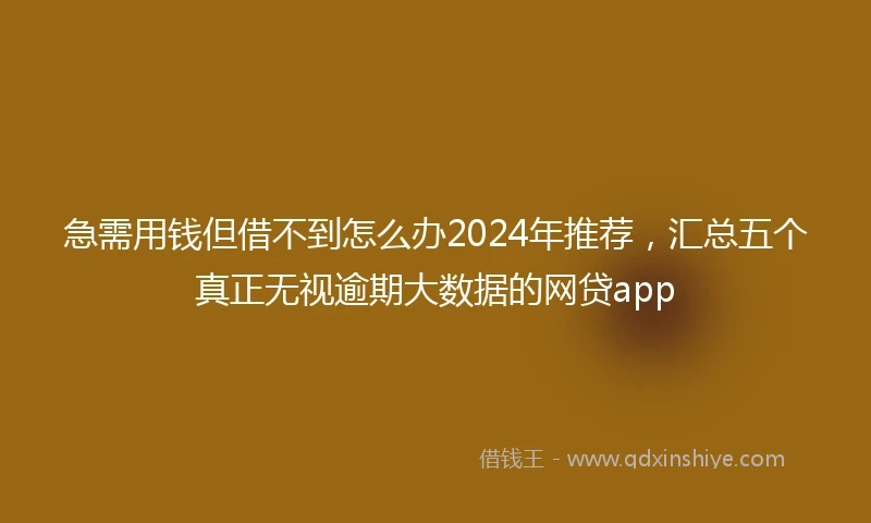 急需用钱但借不到怎么办2024年推荐，汇总五个真正无视逾期大数据的网贷app