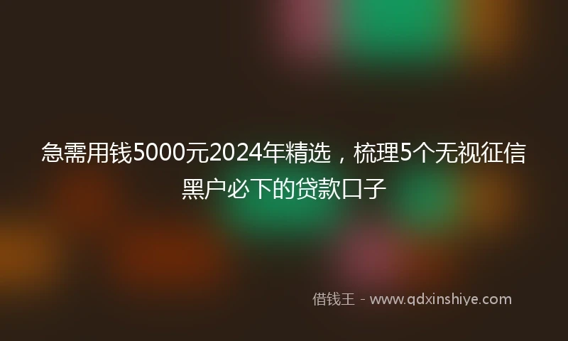 急需用钱5000元2024年精选，梳理5个无视征信黑户必下的贷款口子