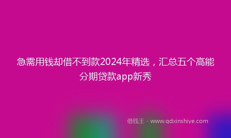 急需用钱却借不到款2024年精选，汇总五个高能分期贷款app新秀