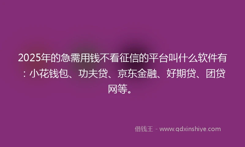 2025年的急需用钱不看征信的平台叫什么软件有：小花钱包、功夫贷、京东金融、好期贷、团贷网等。