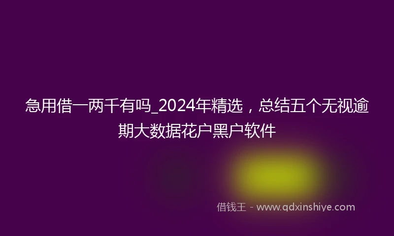 急用借一两千有吗_2024年精选，总结五个无视逾期大数据花户黑户软件