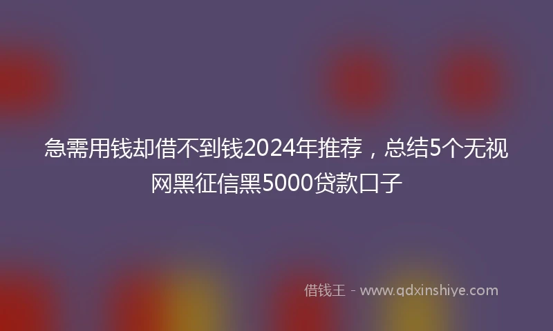 急需用钱却借不到钱2024年推荐，总结5个无视网黑征信黑5000贷款口子