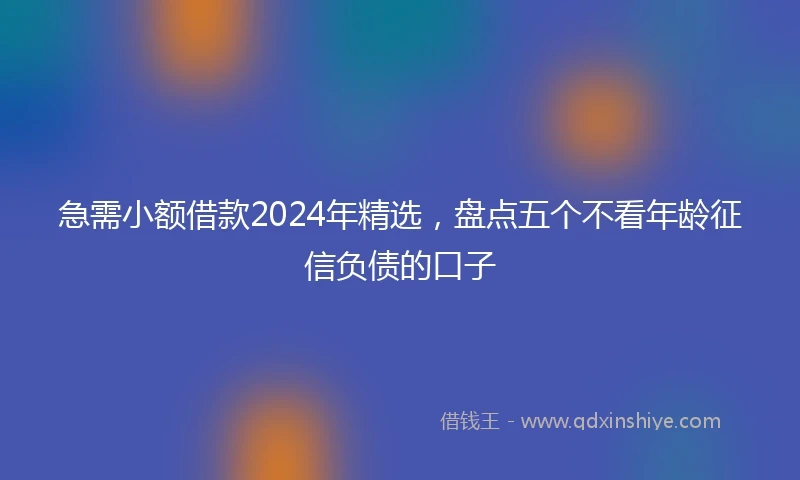 急需小额借款2024年精选，盘点五个不看年龄征信负债的口子