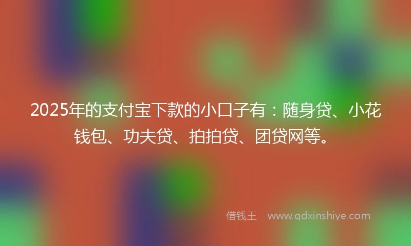 2025年的支付宝下款的小口子有：随身贷、小花钱包、功夫贷、拍拍贷、团贷网等。