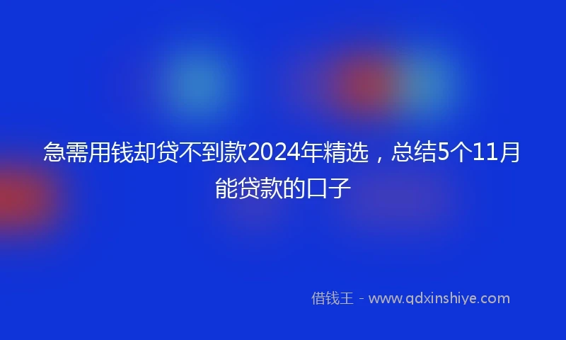 急需用钱却贷不到款2024年精选，总结5个11月能贷款的口子