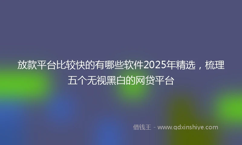 放款平台比较快的有哪些软件2025年精选，梳理五个无视黑白的网贷平台