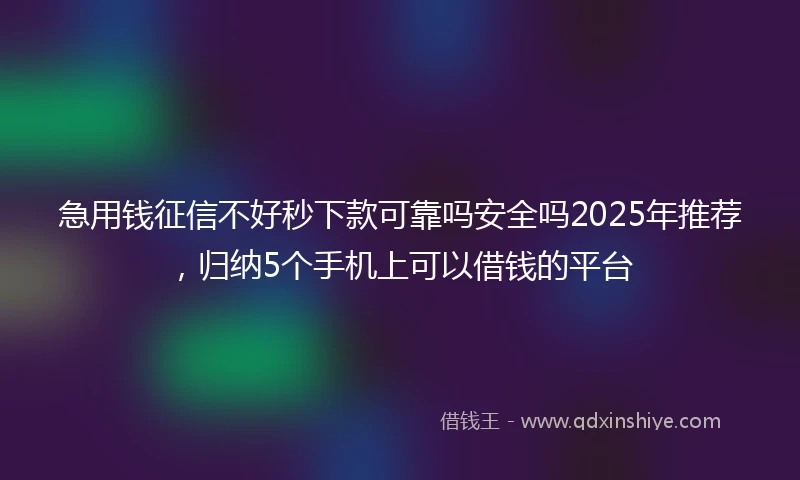 急用钱征信不好秒下款可靠吗安全吗2025年推荐，归纳5个手机上可以借钱的平台
