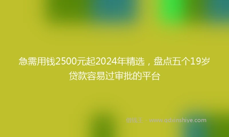 急需用钱2500元起2024年精选，盘点五个19岁贷款容易过审批的平台