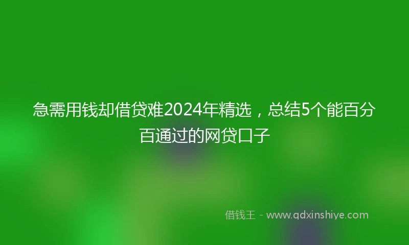 急需用钱却借贷难2024年精选，总结5个能百分百通过的网贷口子