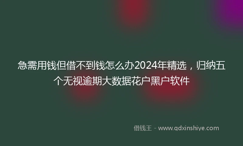 急需用钱但借不到钱怎么办2024年精选，归纳五个无视逾期大数据花户黑户软件