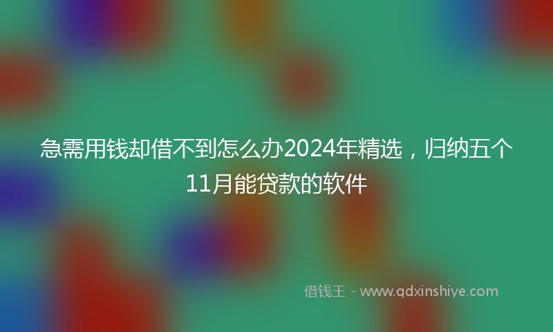 急需用钱却借不到怎么办2024年精选，归纳五个11月能贷款的软件