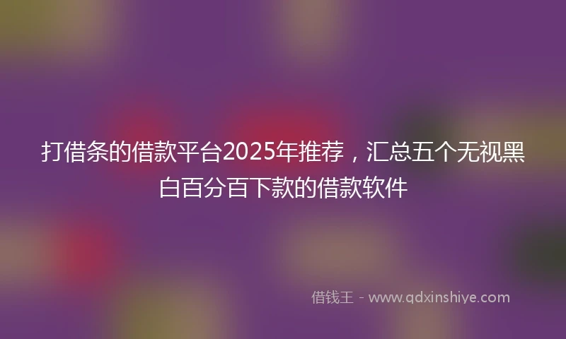 打借条的借款平台2025年推荐，汇总五个无视黑白百分百下款的借款软件