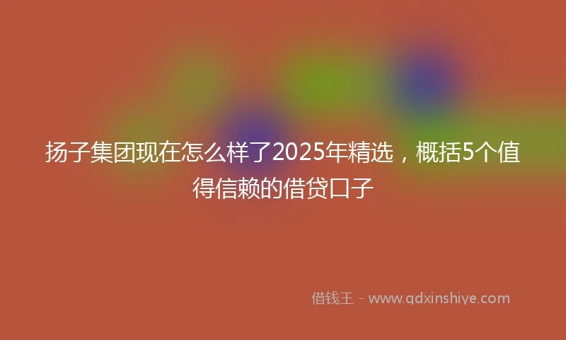 扬子集团现在怎么样了2025年精选，概括5个值得信赖的借贷口子