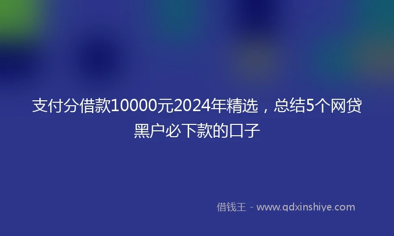 支付分借款10000元2024年精选，总结5个网贷黑户必下款的口子