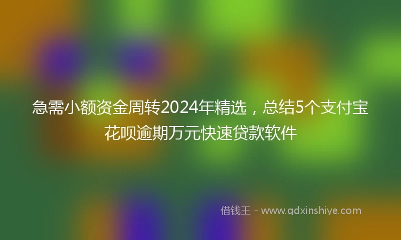 急需小额资金周转2024年精选，总结5个支付宝花呗逾期万元快速贷款软件