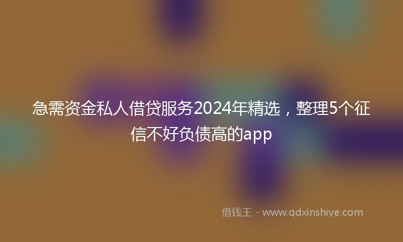 急需资金私人借贷服务2024年精选，整理5个征信不好负债高的app