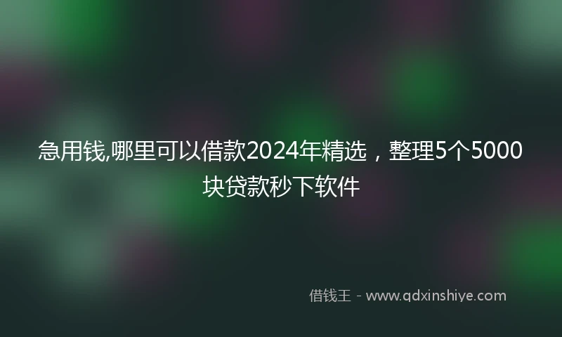 急用钱,哪里可以借款2024年精选，整理5个5000块贷款秒下软件