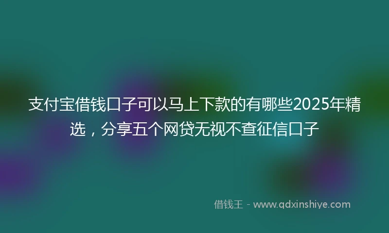 支付宝借钱口子可以马上下款的有哪些2025年精选，分享五个网贷无视不查征信口子
