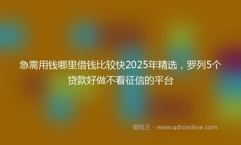 急需用钱哪里借钱比较快2025年精选，罗列5个贷款好做不看征信的平台