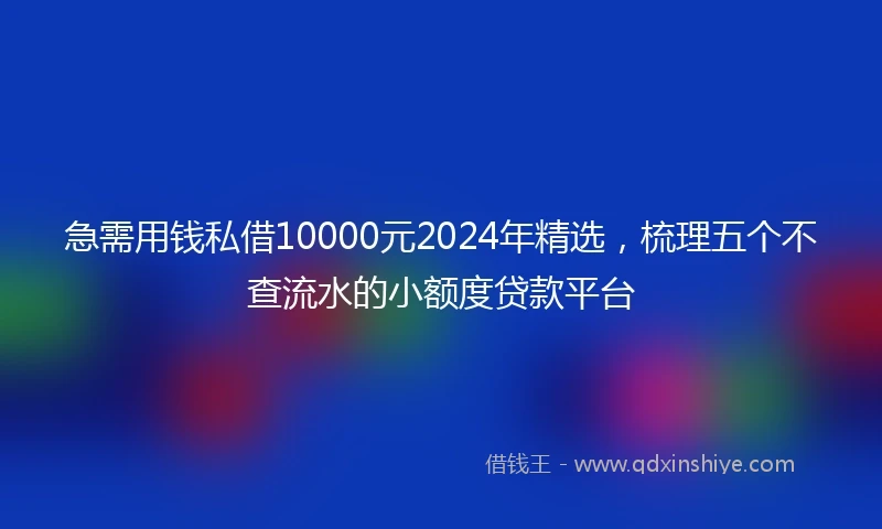 急需用钱私借10000元2024年精选，梳理五个不查流水的小额度贷款平台