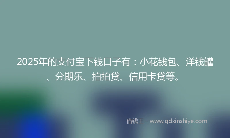 2025年的支付宝下钱口子有：小花钱包、洋钱罐、分期乐、拍拍贷、信用卡贷等。